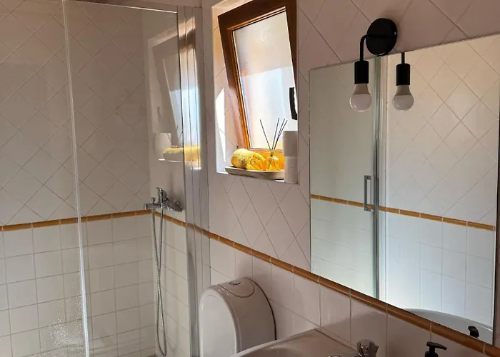 Casa Do Rio, Sever Do Vouga *